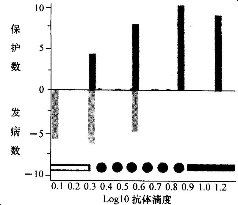 O -type foot-and-mouth disease antibody horizontal detection test paper and preparation method