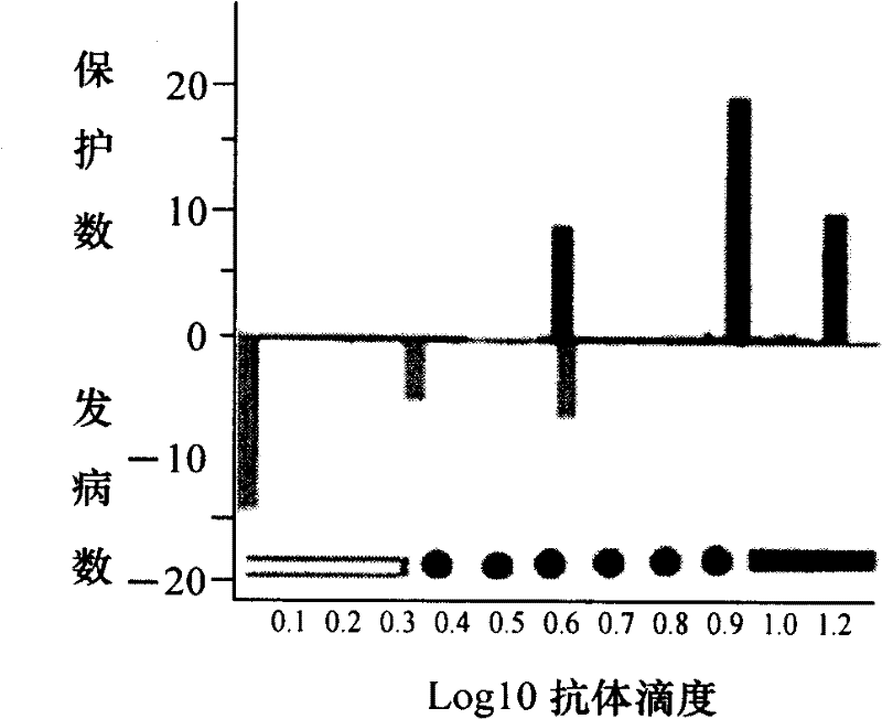 O -type foot-and-mouth disease antibody horizontal detection test paper and preparation method