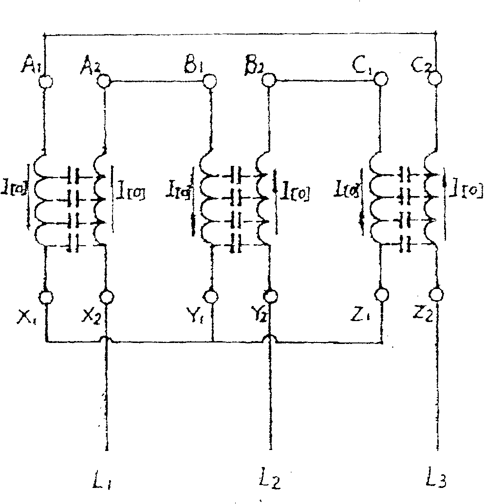 Lightning protection antiinterference capactive transformer