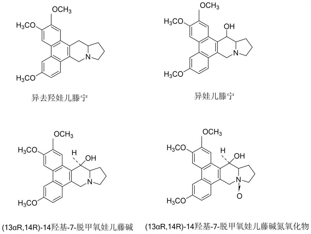 Application of total alkaloids of cynanchum komarovii in preparation of anti-inflammatory and analgesic drugs