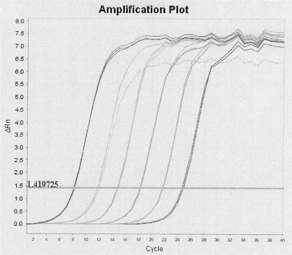 A kind of standard substance and its preparation method of fetal cell-free dna library quantification