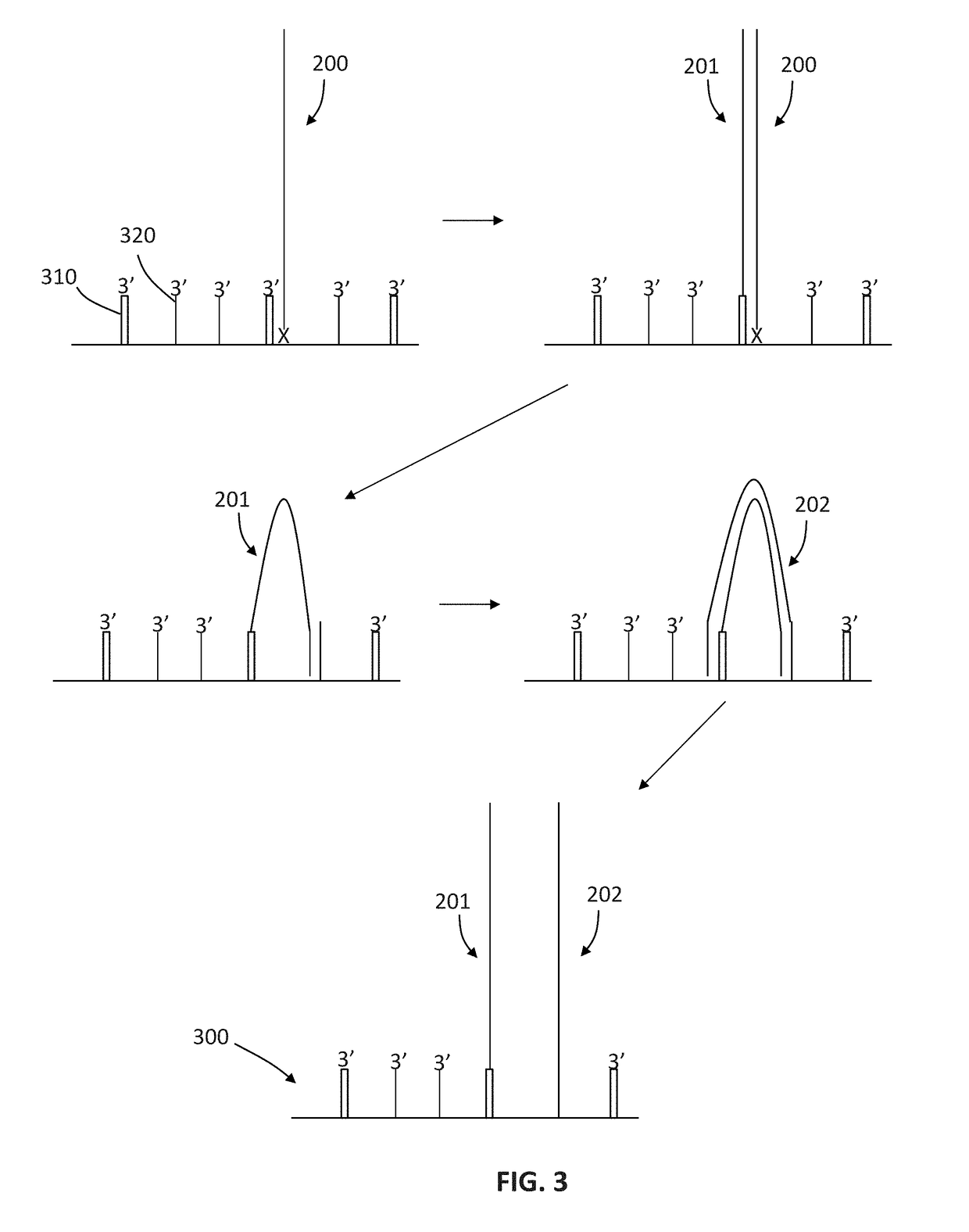 Compositions and methods for improving sample identification in indexed nucleic acid libraries