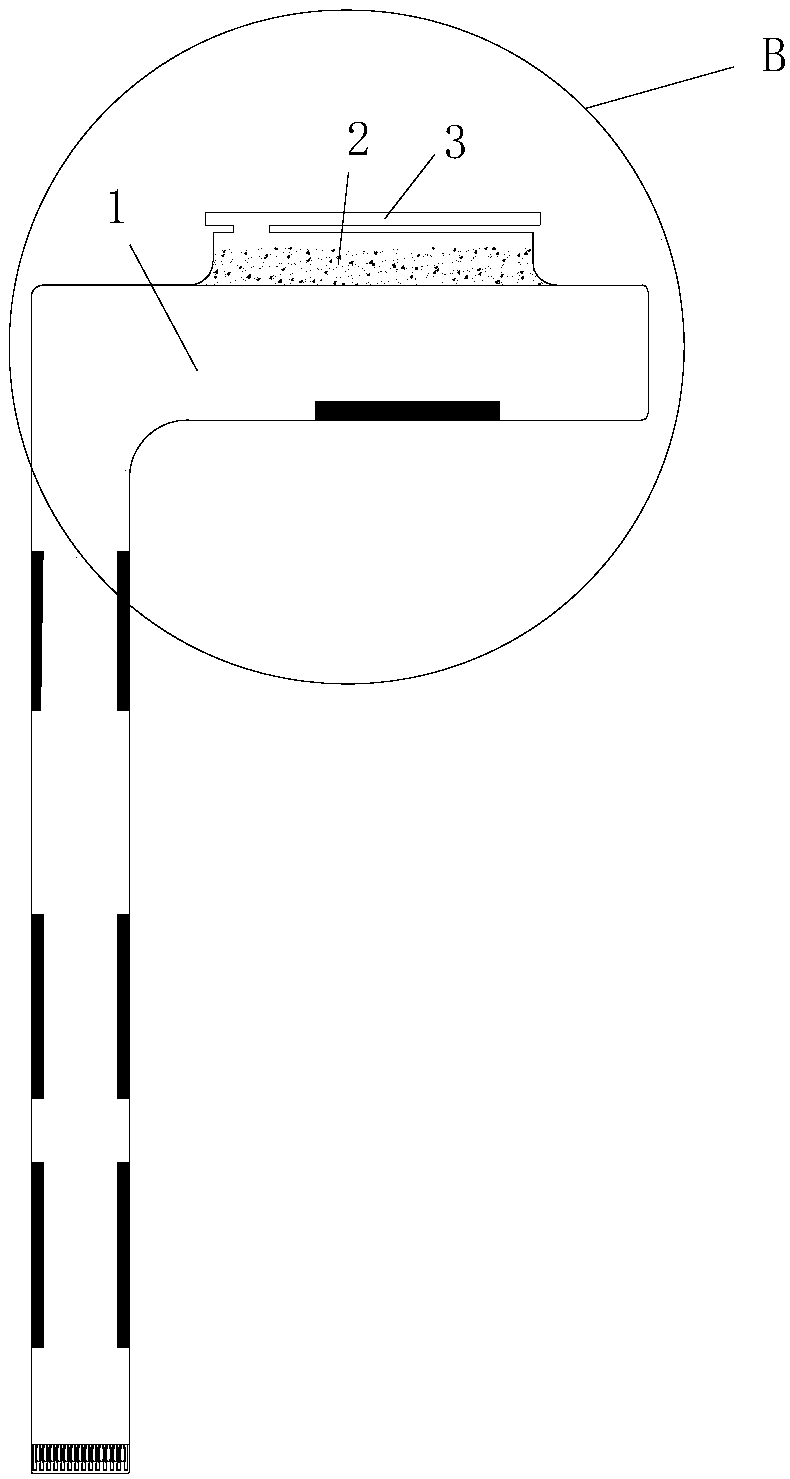 Shielding structure capable of reducing electromagnetic interference of display screen