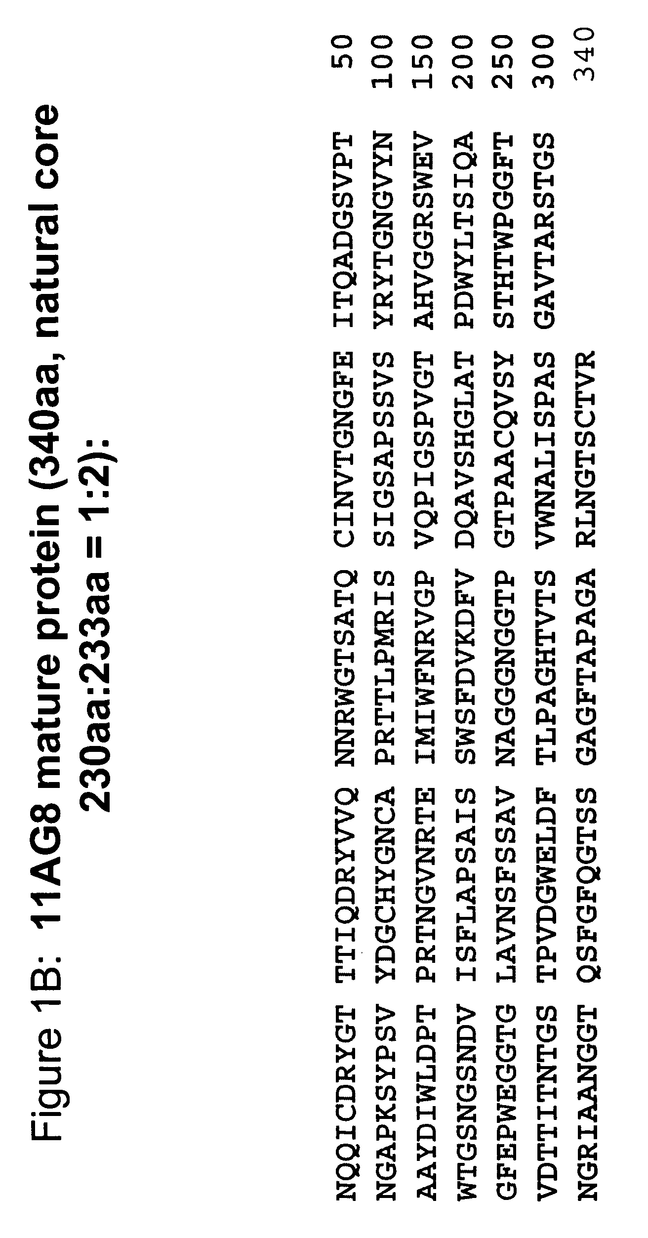 Neutral cellulase catalytic core and method of producing same