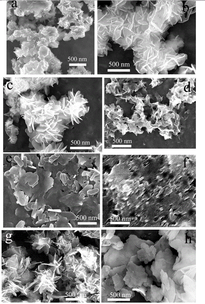 Anthemia-shaped NiS/ZnS visible light photocatalyst and preparation method thereof