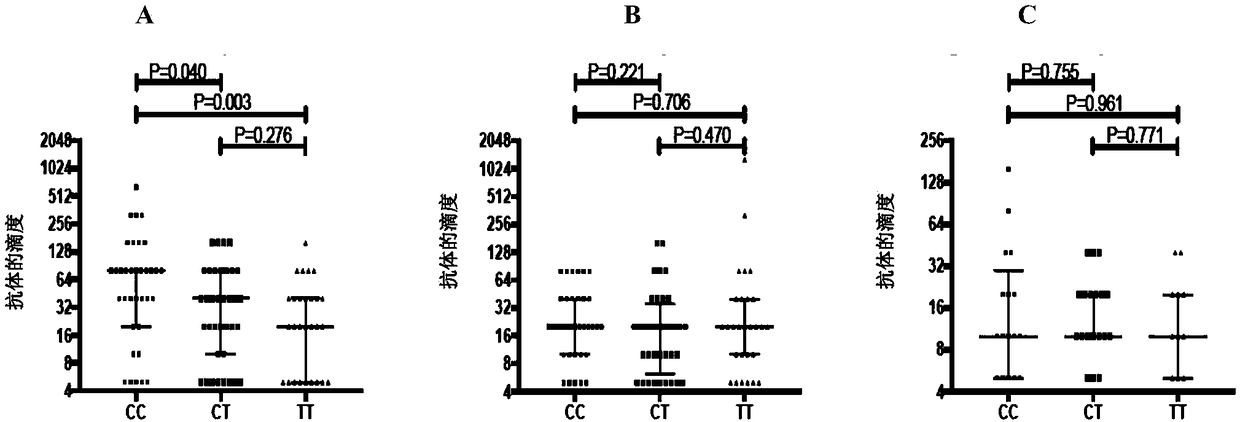 Application of polymorphism of rs12252 in detecting influenza virus antibody