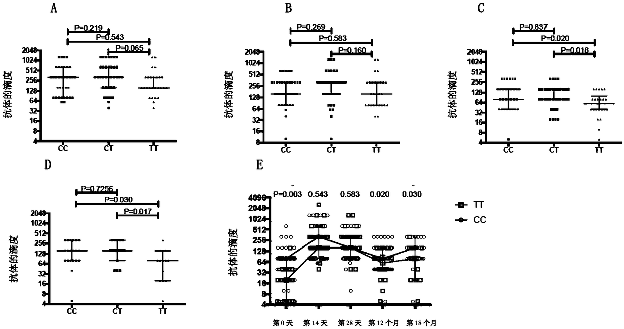 Application of polymorphism of rs12252 in detecting influenza virus antibody