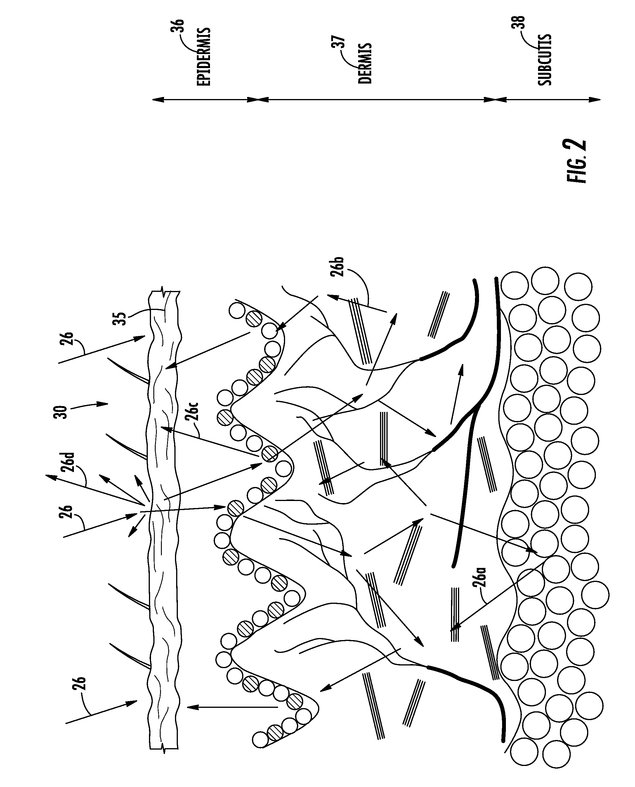 Finger sensor using polarized light and associated methods