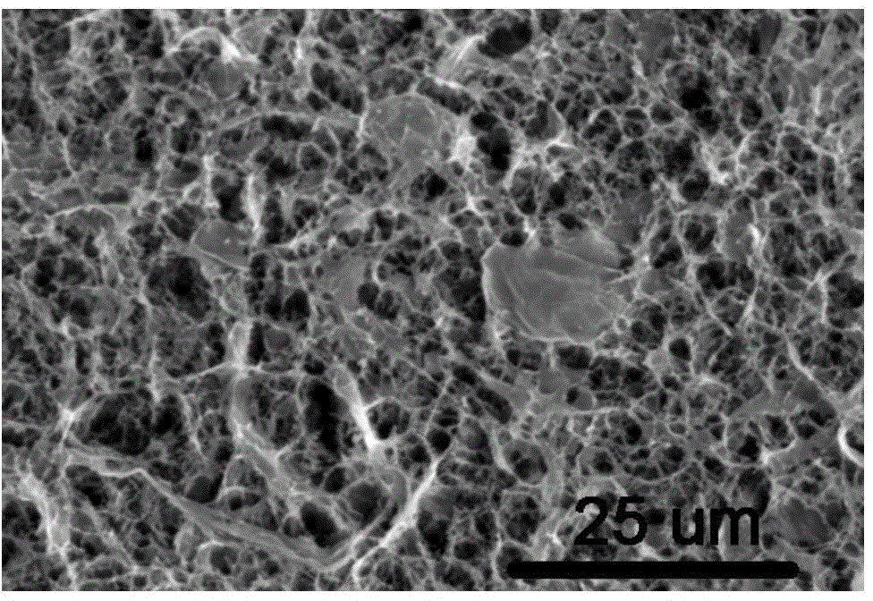 Cellulose-based composite material with three-dimensional porous structure and preparation method of cellulose-based composite material