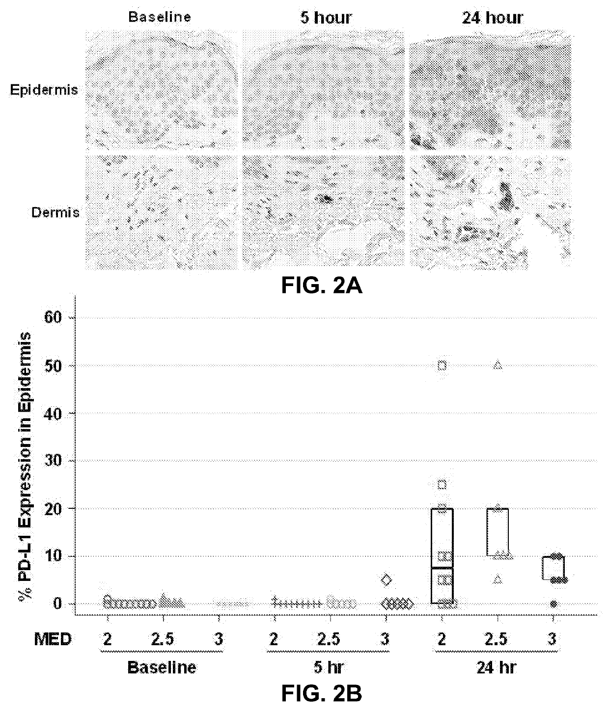 A method of determining risk for skin cancer development and skin cancer therapeutic prevention by measuring pd-1/pd-l1 signaling pathway members