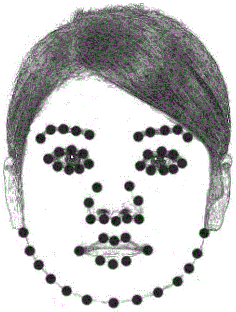 Single-sample human face recognition method compatible for human face aging recognition