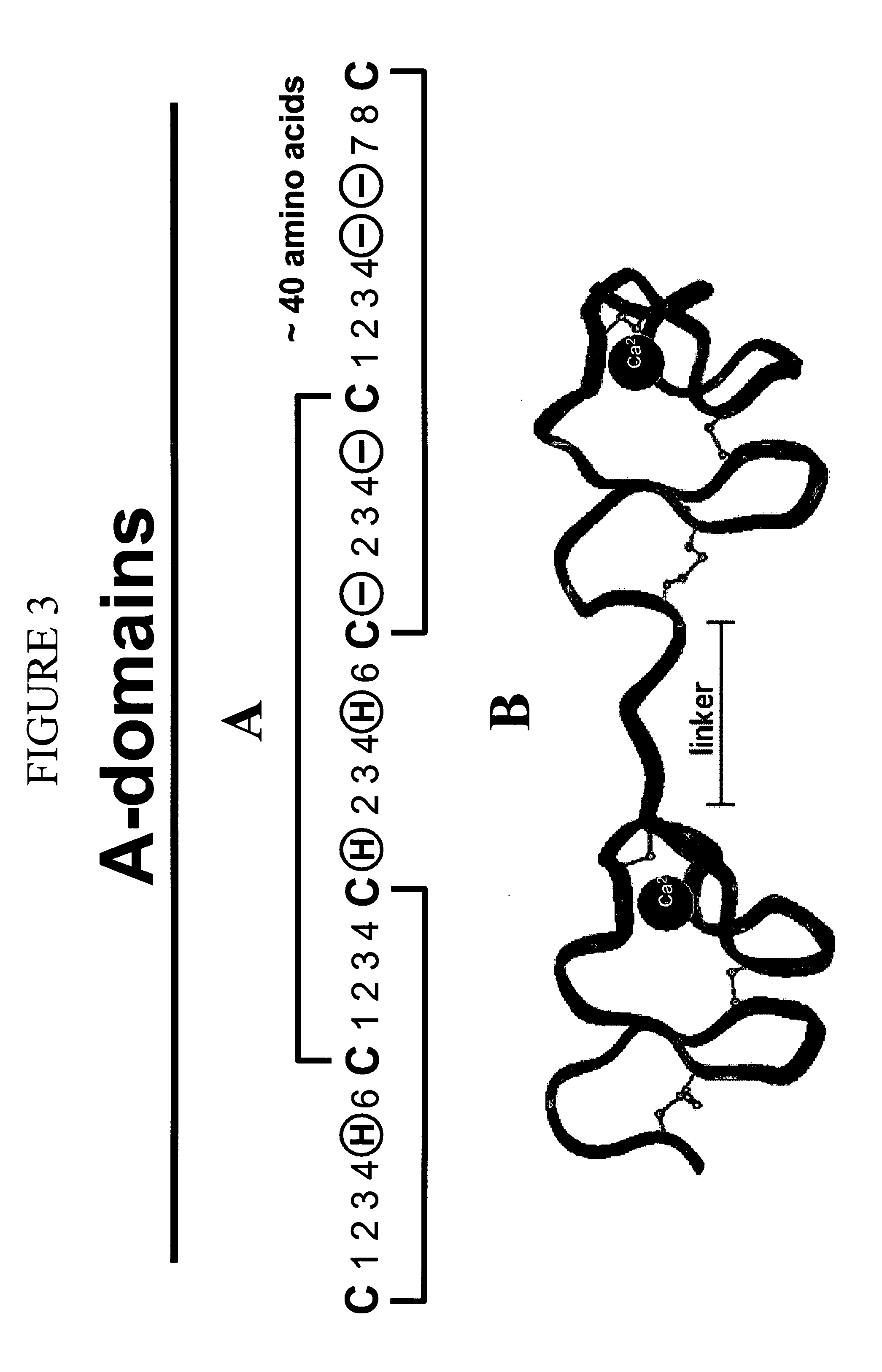 LDL receptor class A and EGF domain monomers and multimers