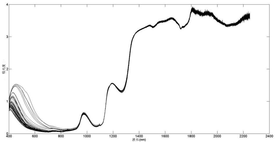 Multi-model fused spectral wavelength selection method