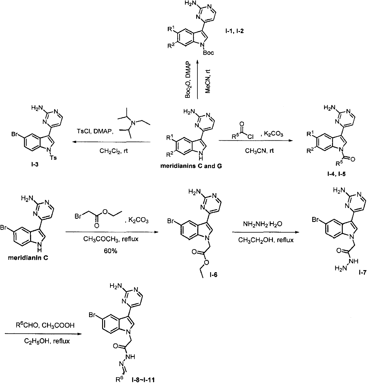 Meridianin derivative as well as preparation and application thereof in prevention and treatment of plant virus and bacterial diseases