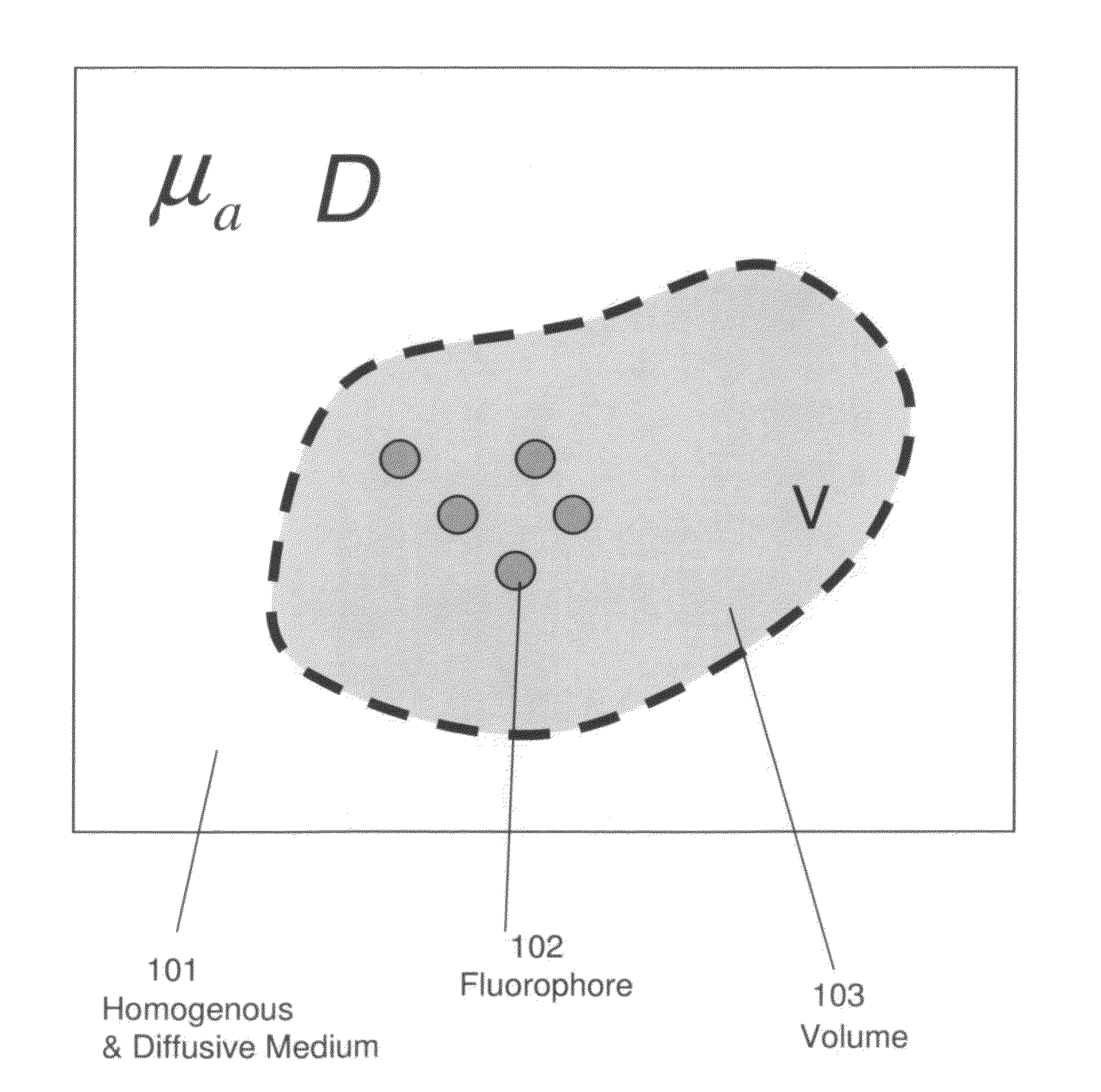 Systems and methods for tomographic imaging in diffuse media using a hybrid inversion technique