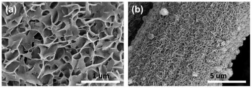 Preparation method of multi-element metal phosphorus-doped electrocatalyst based on ternary LDH derivation