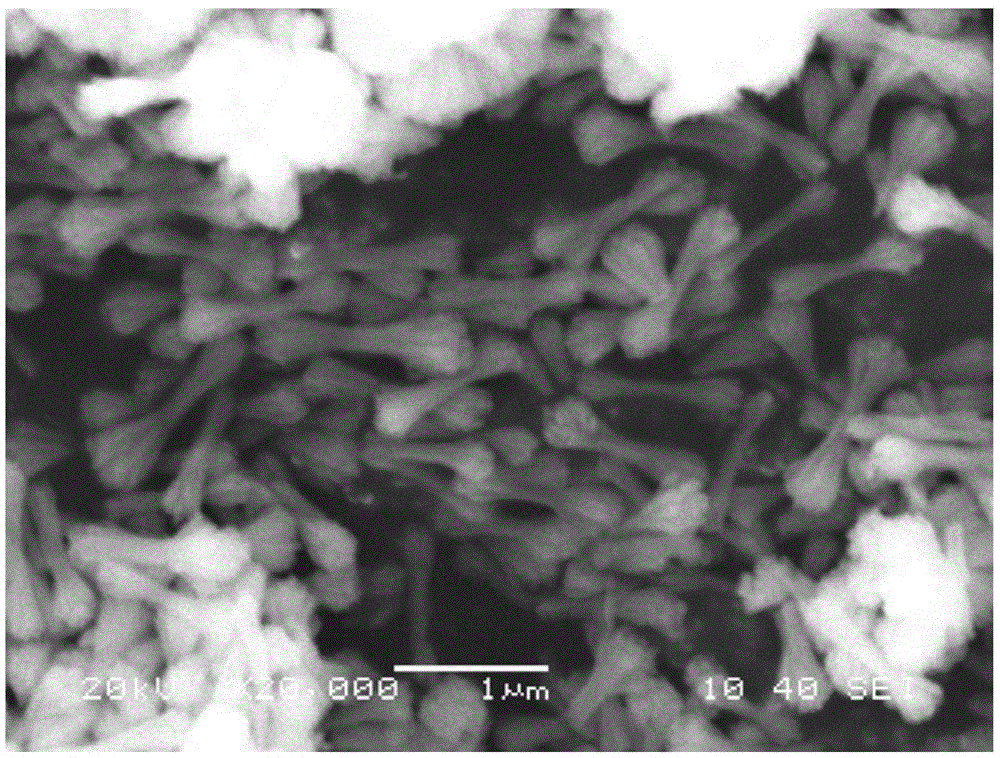 Method for preparing neodymium vanadate nanowire bundles in hydrothermal mode