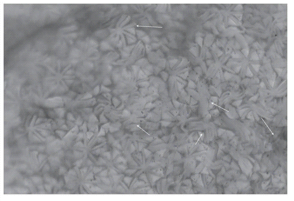 Method for manufacturing split type fiber knitted wiping cloth