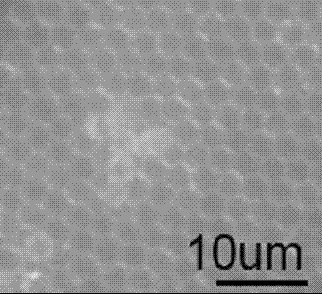 Method for preparing organic single crystal particle two-dimensional ordered structure and its patterned arrangement