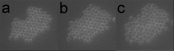 Method for preparing organic single crystal particle two-dimensional ordered structure and its patterned arrangement