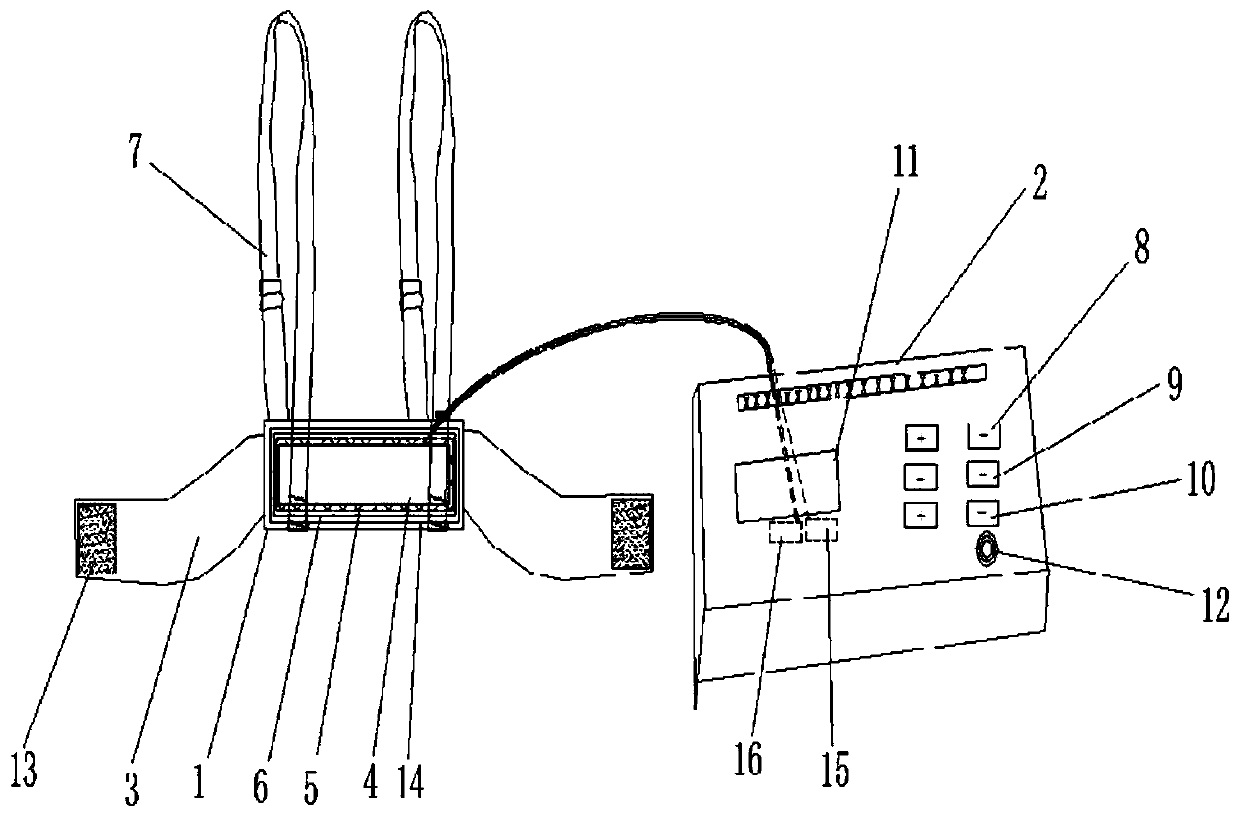 Chicken Breast Rehabilitation Massage Physiotherapy Device