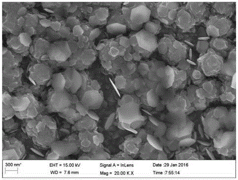 Preparation method of metal nanosheets