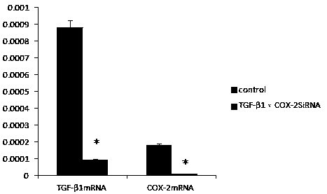 siRNA molecule composition, and applications thereof in treatment of hypertrophic scars