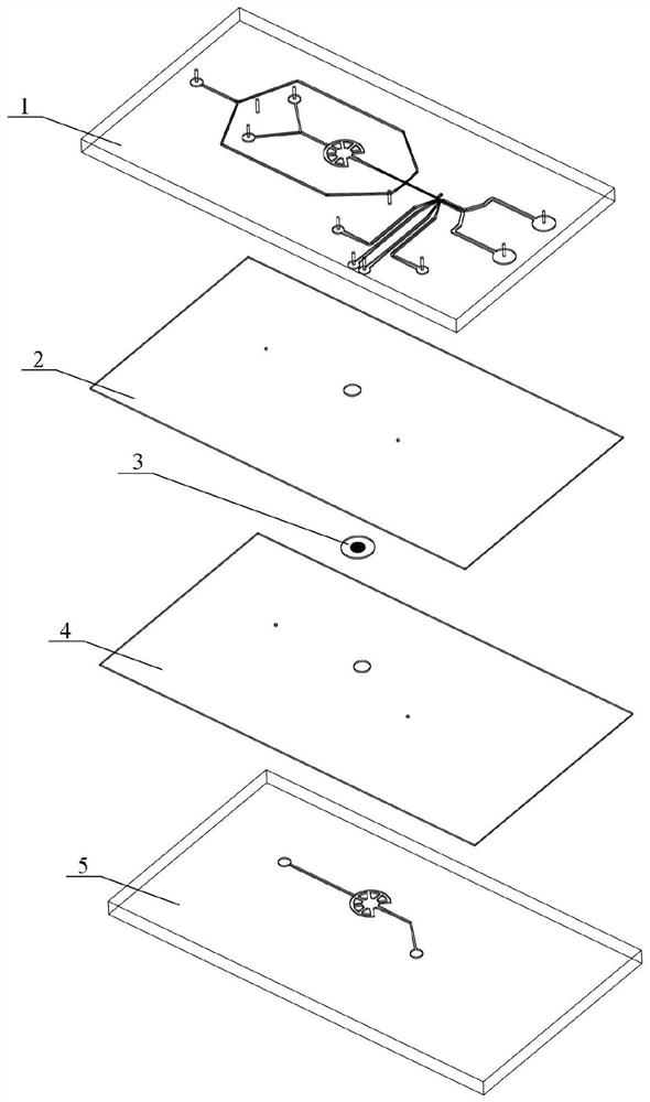 Micro-fluidic chip for obtaining rare cell and being encapsulated with single cells