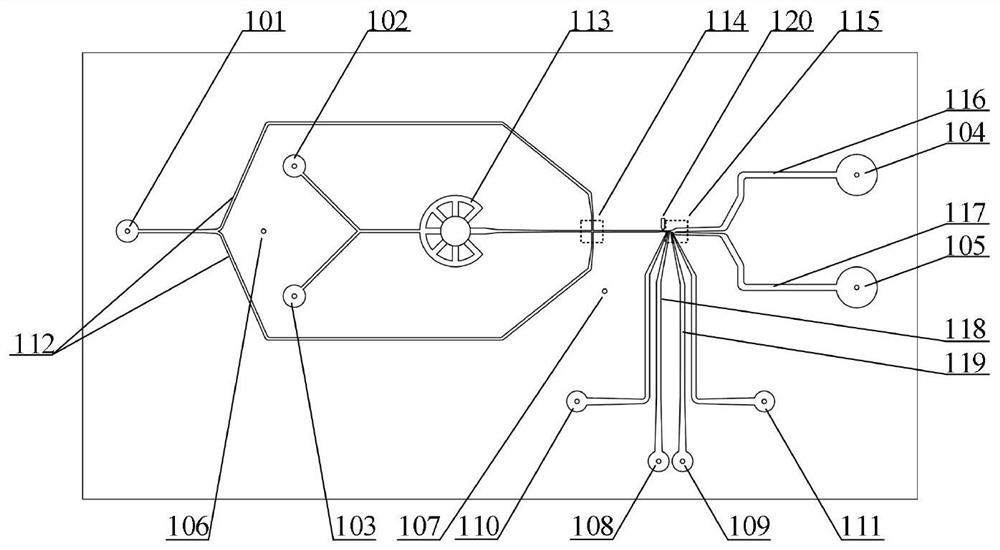 Micro-fluidic chip for obtaining rare cell and being encapsulated with single cells