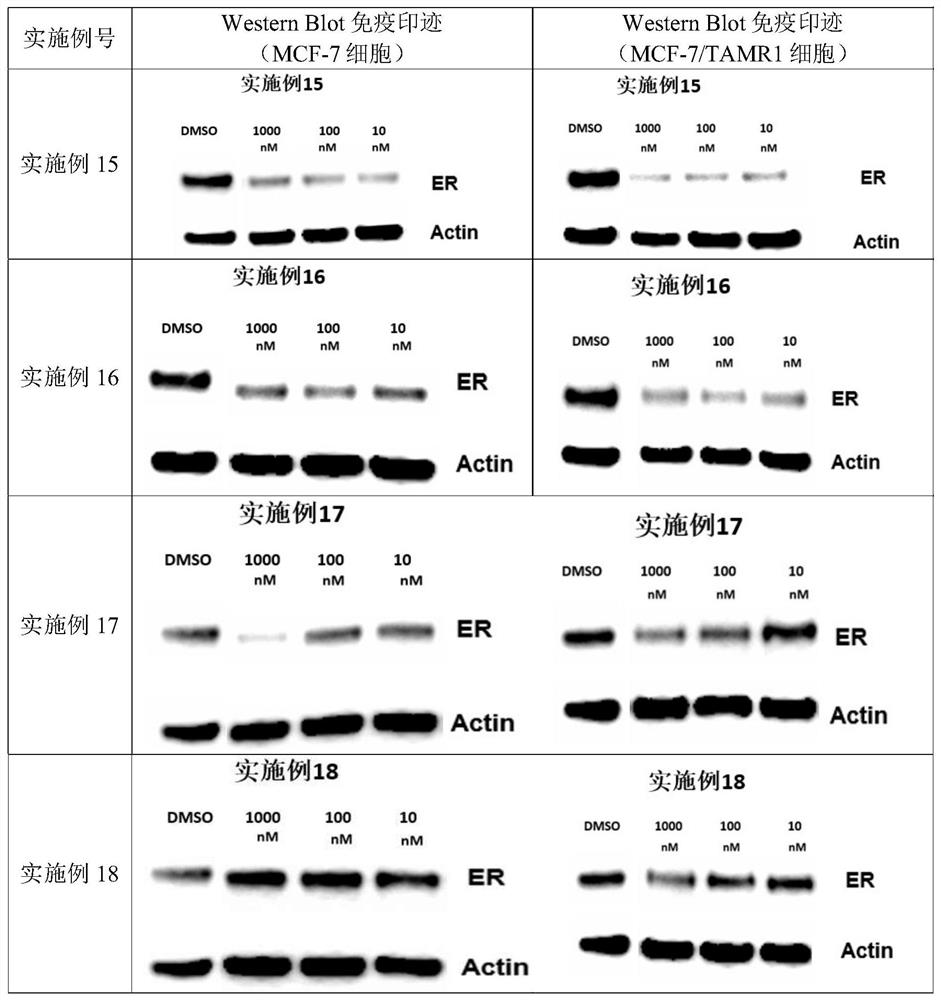 Heterocyclic compounds and their applications in medicine