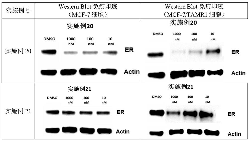 Heterocyclic compounds and their applications in medicine