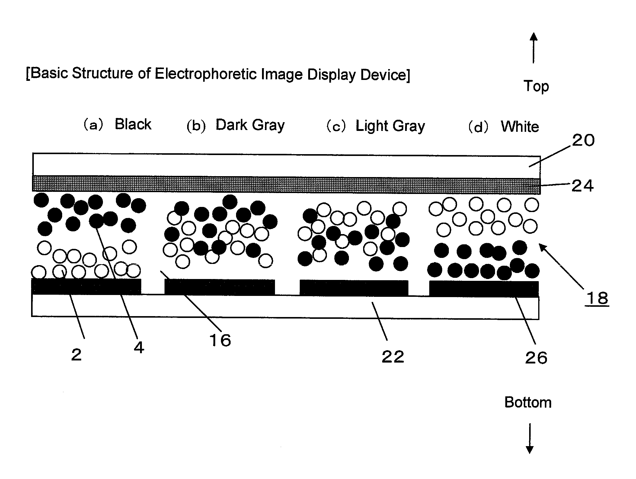 Charged particle used for electrophoretic display medium, electrophoretic display medium comprising the charged particle, and image display device using the electrophoretic display medium