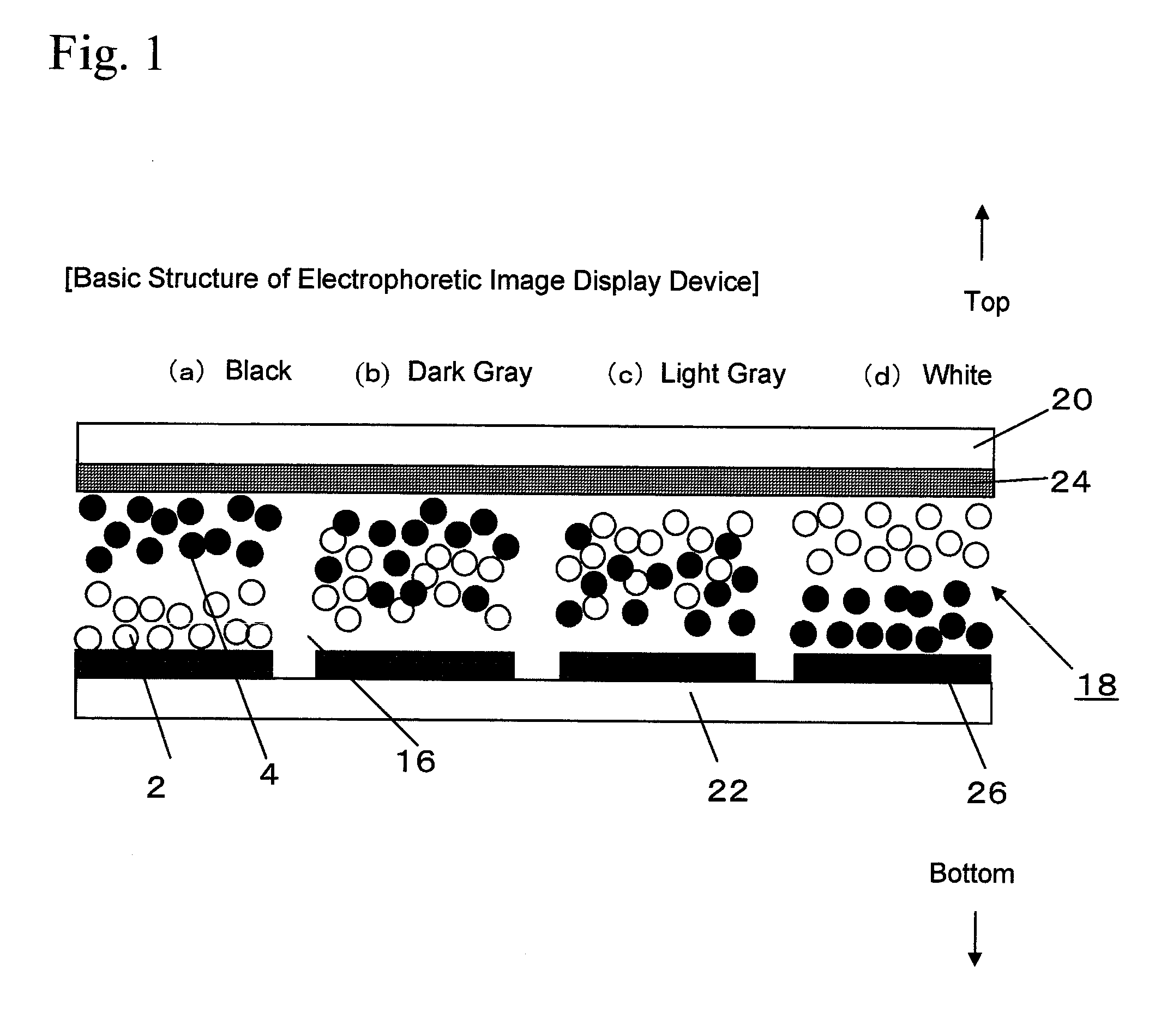 Charged particle used for electrophoretic display medium, electrophoretic display medium comprising the charged particle, and image display device using the electrophoretic display medium