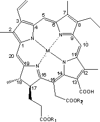 Metal complex of chlorophyll degradation product chlorin e6 derivatives as well as preparation method and applications of metal complex