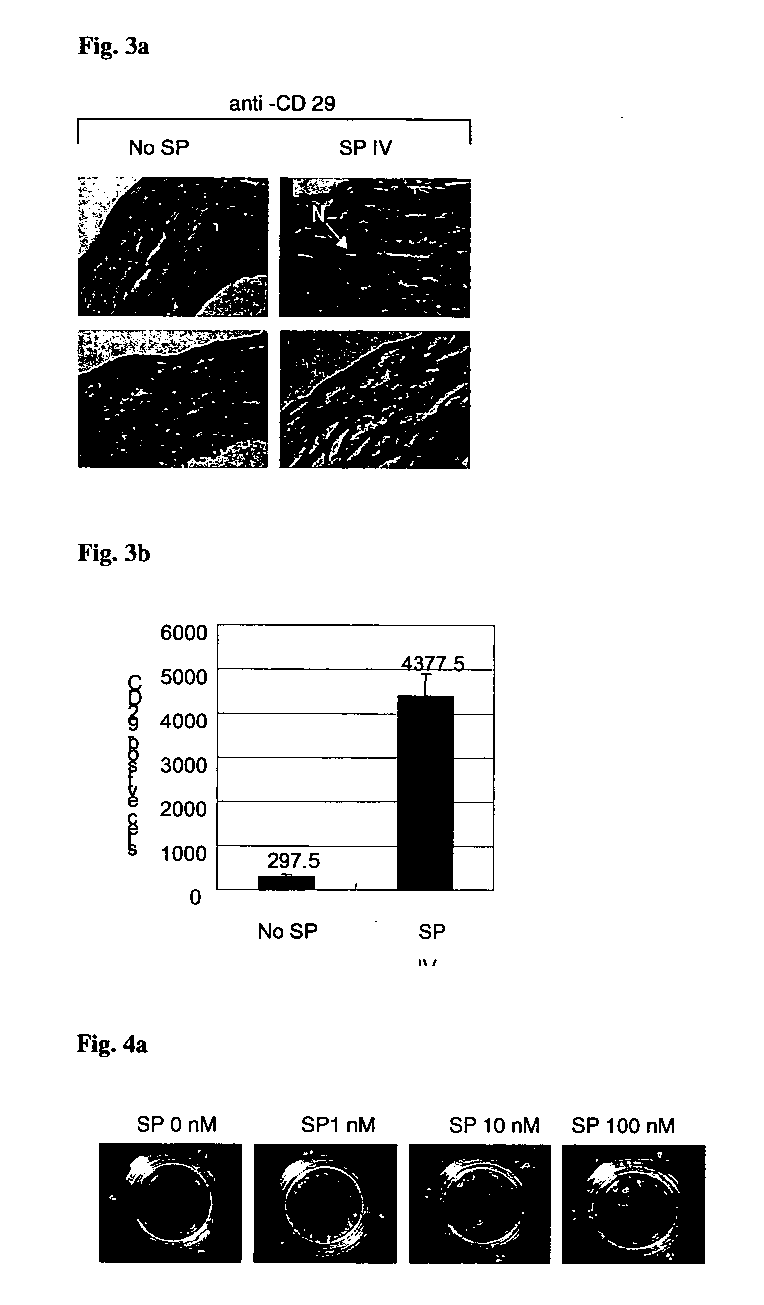 Use of substance P for mobilization of Mesenchymal stem cells or proliferation of Mesenchymal stem cells and for wound healing or facilitating wound healing