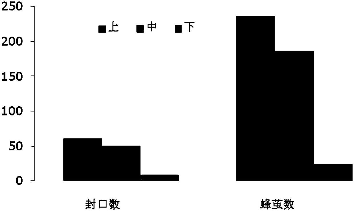 Field pollination method for megachile rotundata