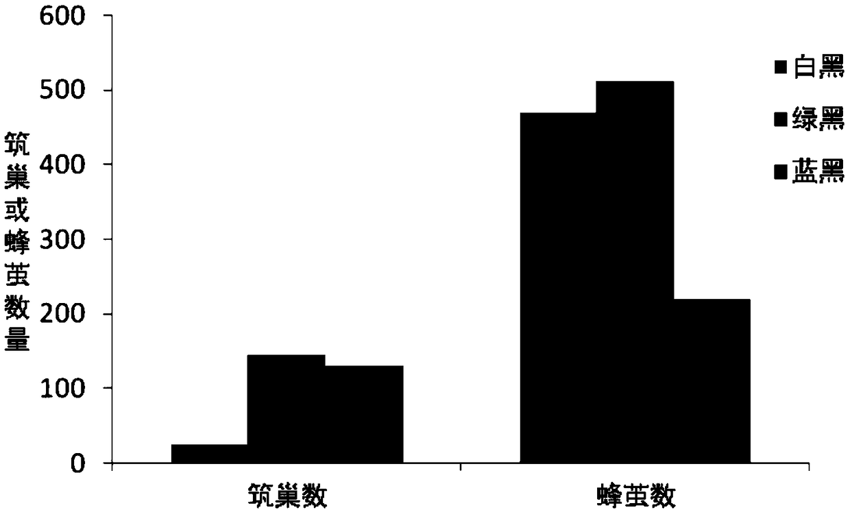 Field pollination method for megachile rotundata