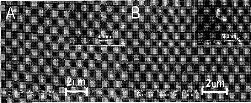 Method for preparing graphene-epoxy resin composite material