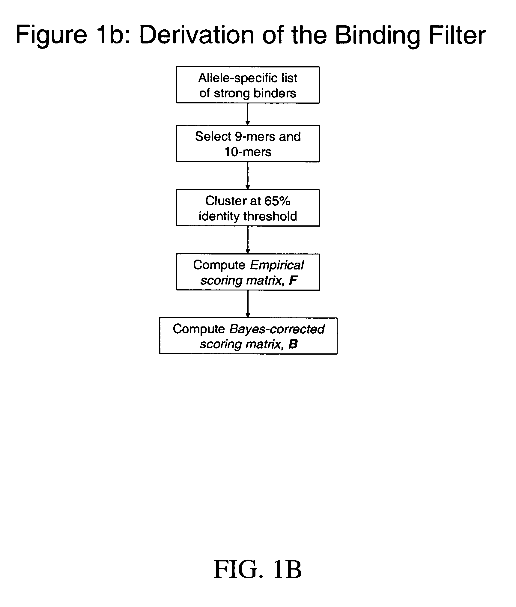 System and method for automated selection of T-cell epitopes