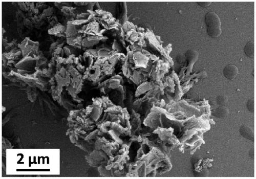 A kind of flower-shaped porous polyaniline nanomaterial and preparation method thereof