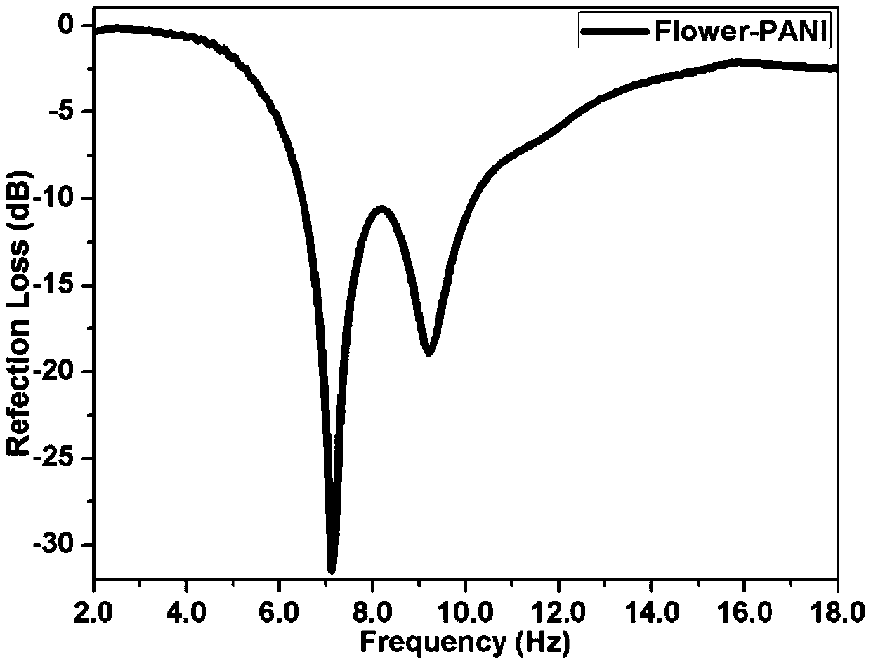 A kind of flower-shaped porous polyaniline nanomaterial and preparation method thereof