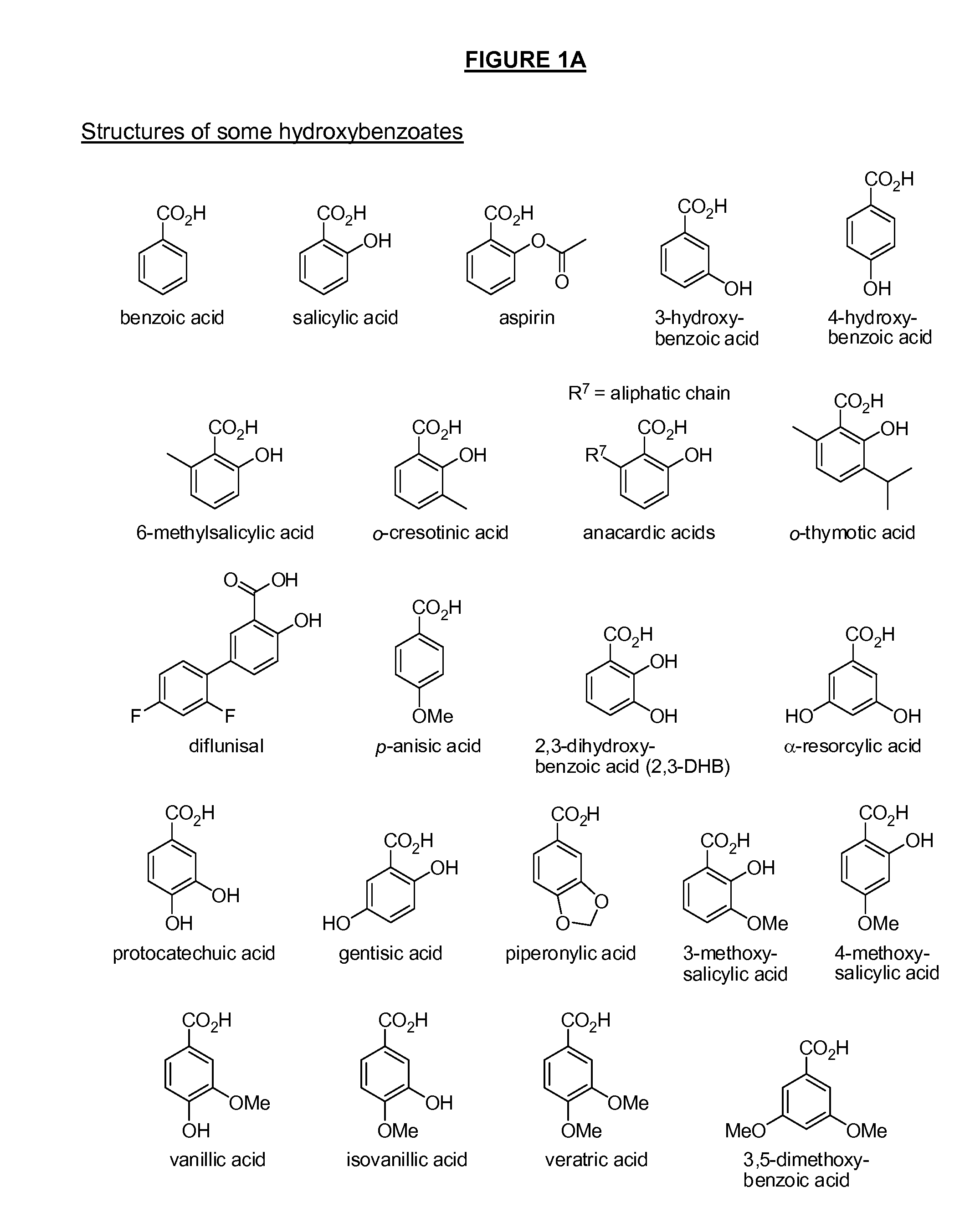 Benzoic acid, benzoic acid derivatives and heteroaryl carboxylic acid conjugates of hydromorphone, prodrugs, methods of making and use thereof