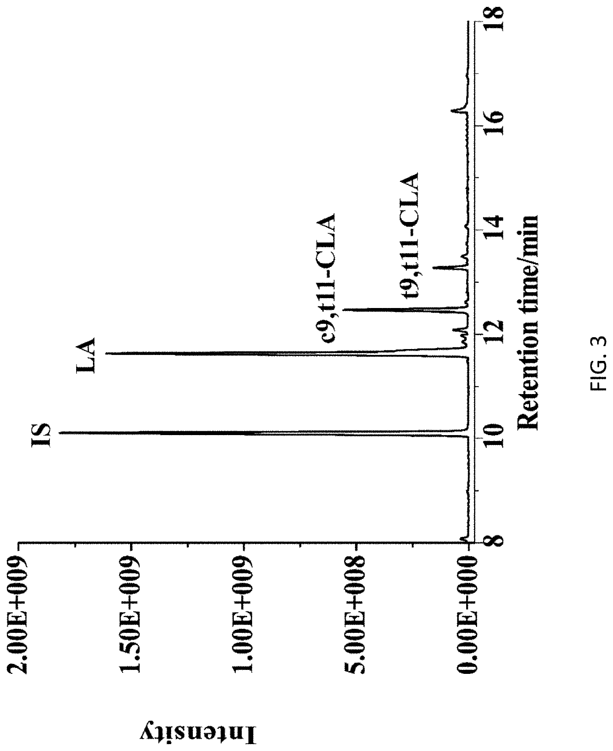 Linoleic Acid Isomerase and its Application in Production of Conjugated Linoleic Acid