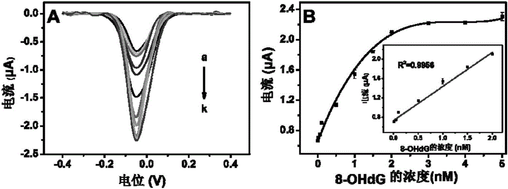 Method for quantitatively detecting activity of 8-OhdG (8-hydroxy-2'-deoxyguanosine) based on aniline deposited electrochemical sensing electrode