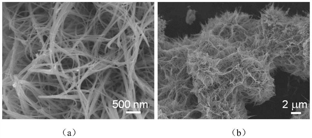 Nickel sponge/Ni9S8 composite material as well as preparation method and application thereof