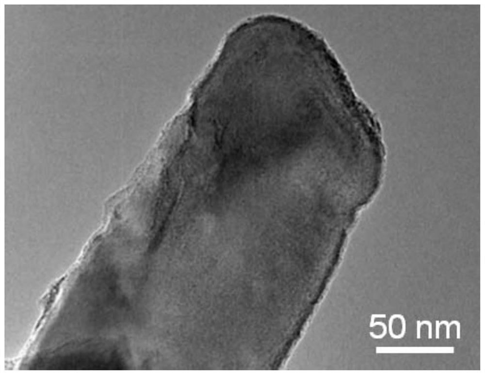 Nickel sponge/Ni9S8 composite material as well as preparation method and application thereof