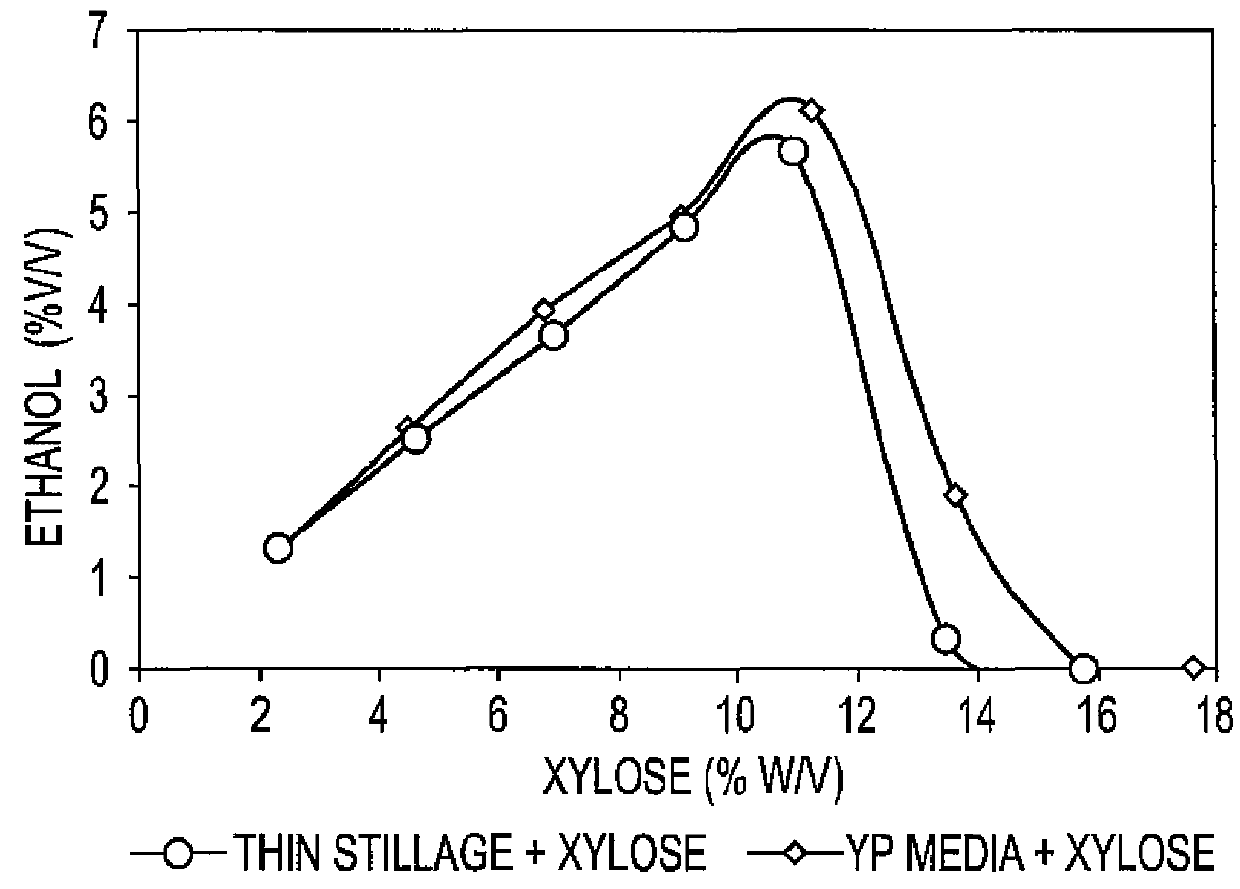 Propagating an organism and related methods and compositions