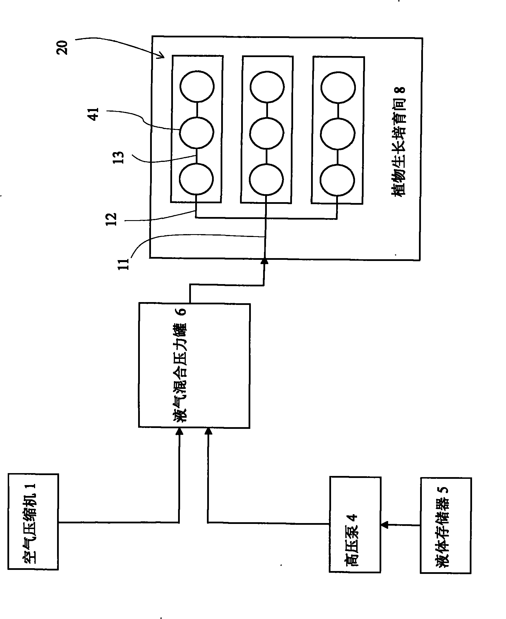 Plant rapid propagation system and method