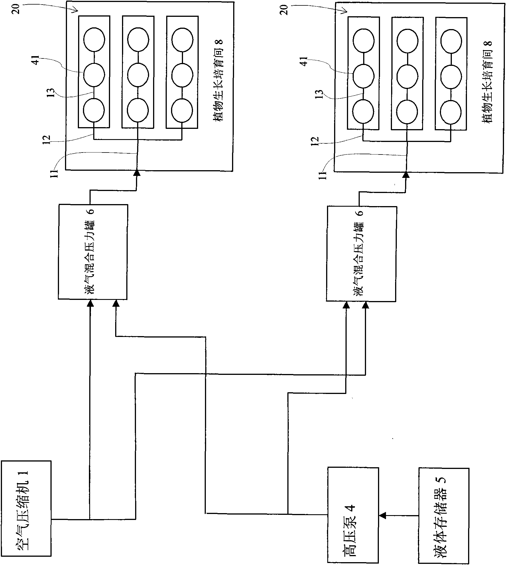 Plant rapid propagation system and method