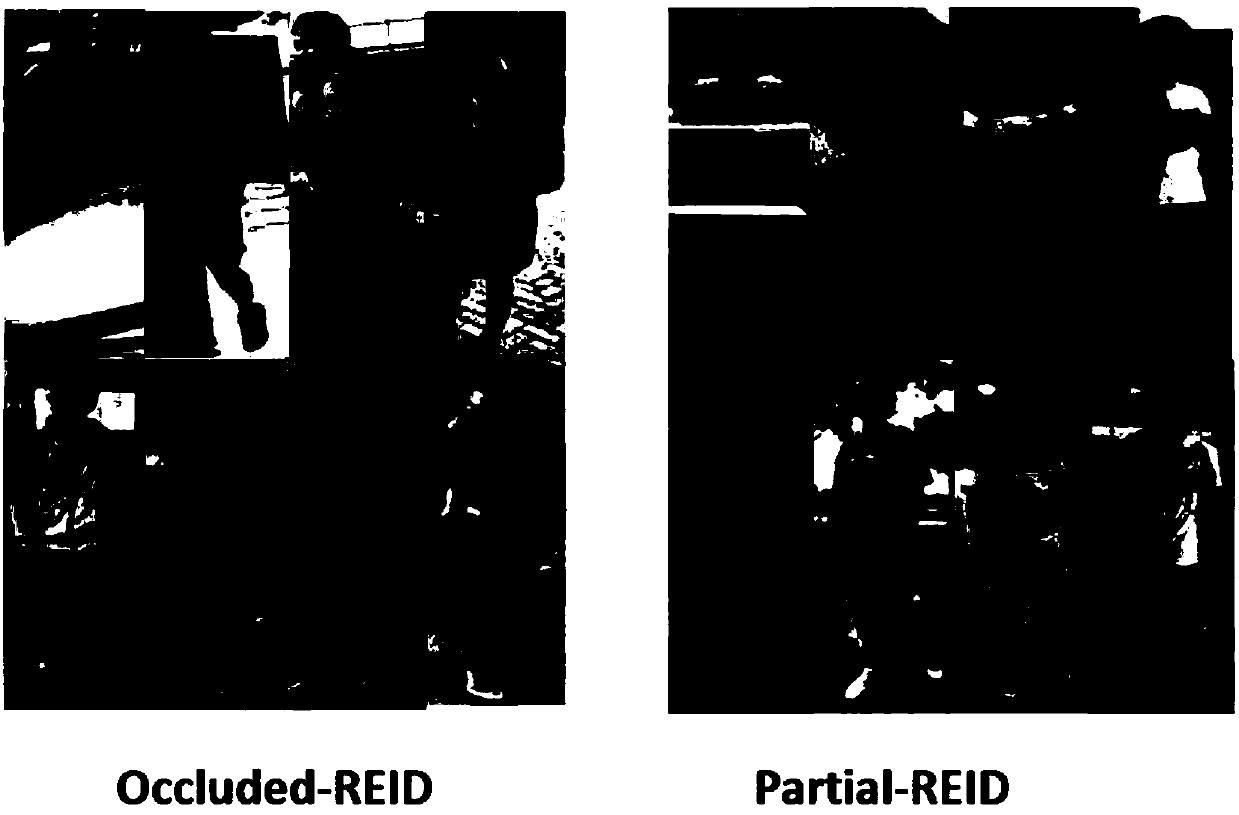 Occluded pedestrian re-identification method based on massed learning and deep network learning